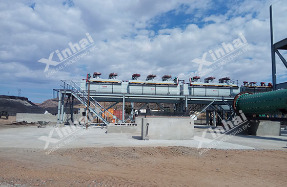 copper ore flotation process